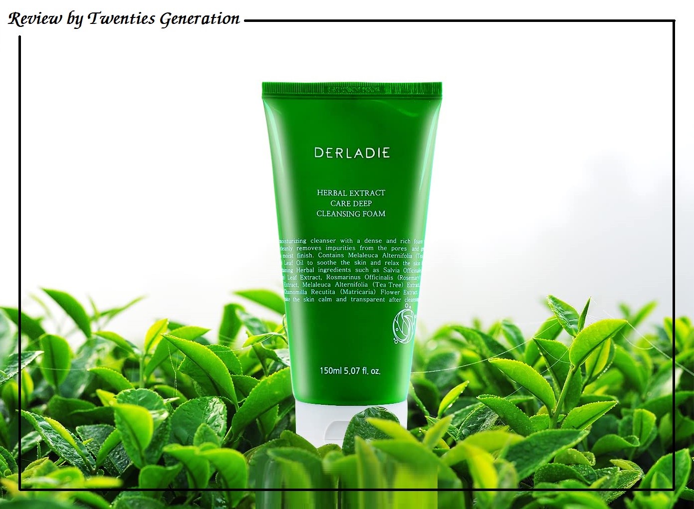 REVIEW THÀNH PHẦN DERLADIE HERBAL EXTRACT CARE DEEP CLEANSING FOAM